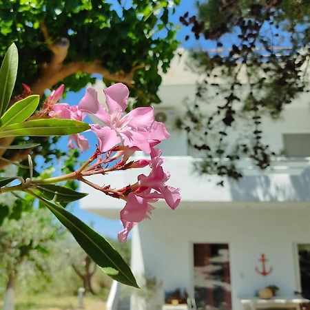 Eva'S Place Карист Екстер'єр фото